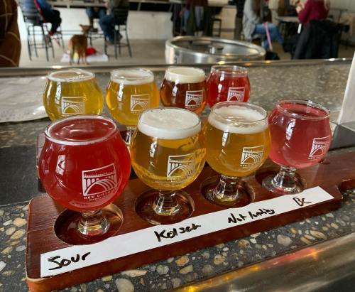 A flight of nine colorful craft beers in small glasses on a wooden paddle, labeled with their names.