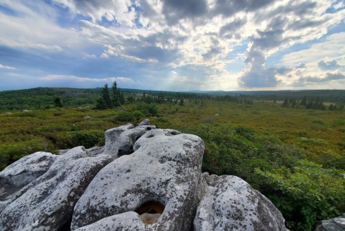 A rocky landscape with large boulders in the foreground, surrounded by lush greenery and a cloudy sky in the background.