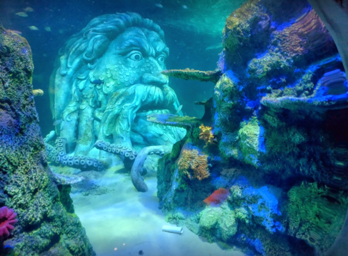 Underwater scene featuring a large stone face surrounded by colorful coral and marine life.