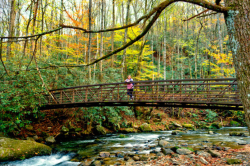 A person stands on a wooden bridge over a stream, surrounded by colorful autumn foliage in a forest.
