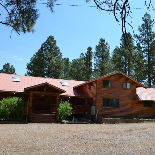 A large log cabin with a metal roof, surrounded by tall pine trees and a gravel driveway. Clear blue sky above.