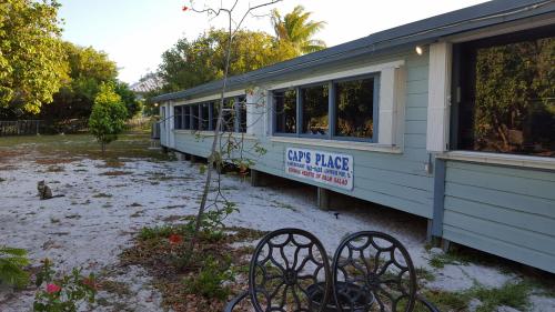 A seaside restaurant named "Cap's Place" with outdoor seating and a sandy area, surrounded by greenery.