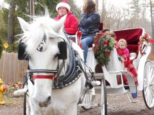 A white horse pulls a festive carriage with passengers, including a woman in a Santa hat and children wrapped in blankets.