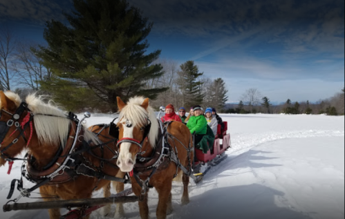 A group of people in colorful winter attire enjoying a horse-drawn sleigh ride through a snowy landscape.