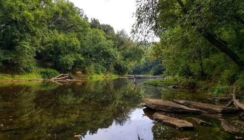 A serene river scene surrounded by lush green trees, with reflections on the calm water and scattered rocks along the shore.