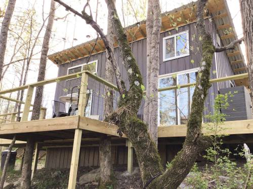 A modern cabin nestled among trees, featuring a wooden deck and large windows, surrounded by greenery.