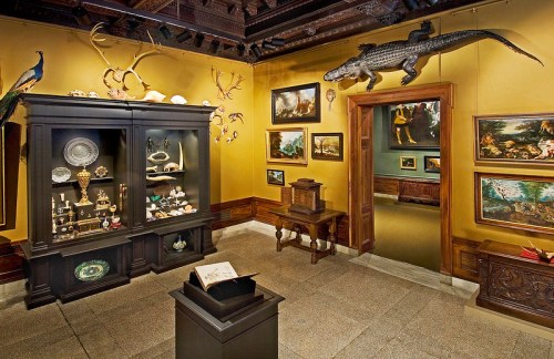 A museum interior featuring a display cabinet, paintings, and mounted animal specimens on yellow walls.