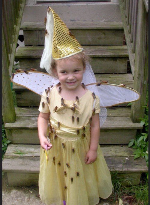 A smiling child in a gold dress and wings, adorned with cicadas, stands on wooden steps.