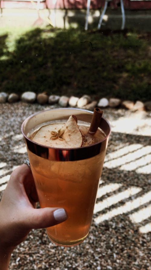 A hand holds a glass of iced drink garnished with apple slices and a cinnamon stick, set against a garden background.