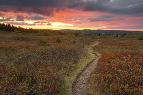 A winding path through a colorful landscape at sunset, with vibrant clouds and distant hills.