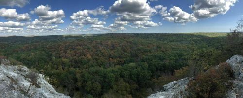 A panoramic view of a lush green forest with autumn foliage under a blue sky filled with fluffy clouds.