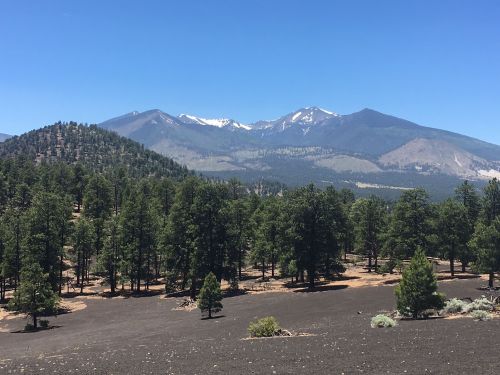 A scenic view of mountains with snow-capped peaks, surrounded by dense green forests and a dark volcanic landscape.