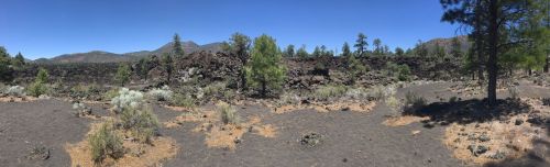 Panoramic view of a rocky landscape with sparse vegetation, blue sky, and distant mountains.