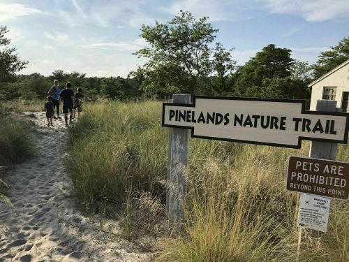 A family walks along a sandy path towards a sign for Pinelands Nature Trail, surrounded by tall grass and trees.