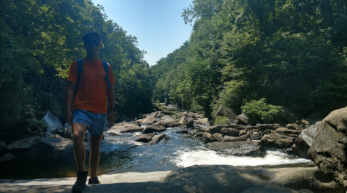 A person in an orange shirt walks along a rocky riverbank surrounded by lush green trees.