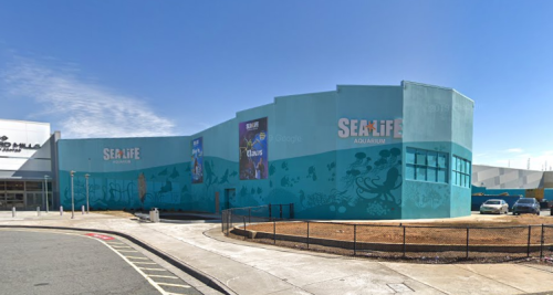 Exterior view of SEA LIFE Aquarium, featuring colorful murals and a bright blue facade against a clear sky.