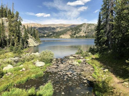A serene lake surrounded by mountains and trees, with rocky shores and a clear blue sky.