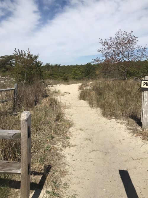 A sandy path leads through tall grass and shrubs, with trees in the background under a partly cloudy sky.
