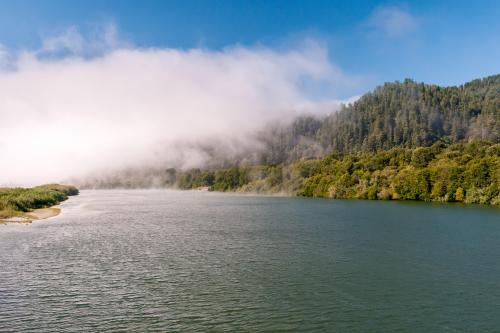 A serene river flows through lush greenery, with fog rolling over the hills under a clear blue sky.