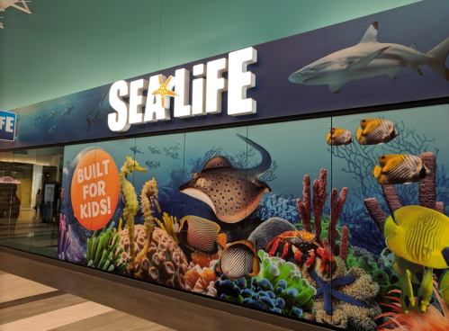 Colorful underwater scene featuring fish, coral, and a sign that reads "SEA LIFE" with "BUILT FOR KIDS!" in bold.