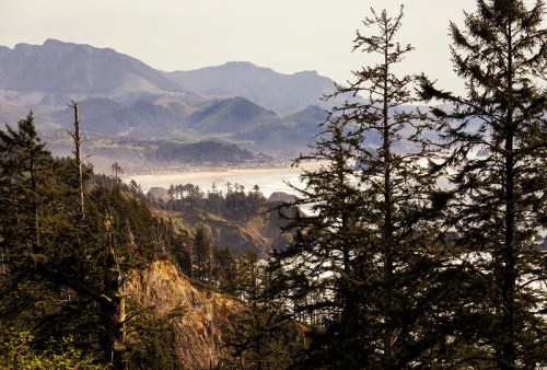 A scenic view of mountains and coastline, framed by tall trees, with waves crashing on the shore below.