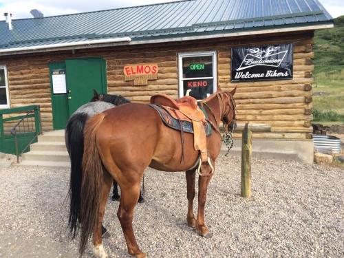 A brown horse with a saddle stands outside a log cabin with signs for "Elmo's" and "Budweiser," welcoming bikers.