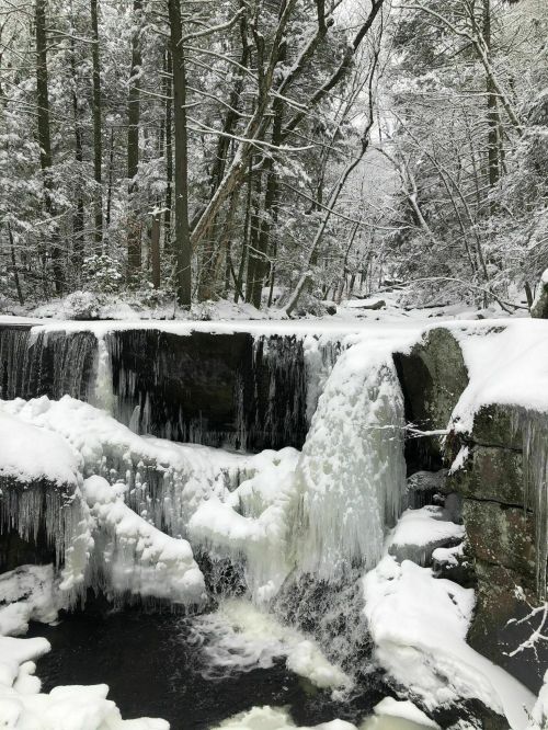 A snowy landscape featuring a frozen waterfall surrounded by trees and a serene, icy river.