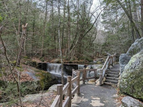 A serene forest path leads to a small waterfall, surrounded by trees and rocky terrain.