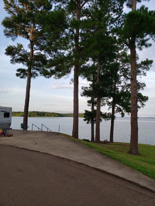 A serene lakeside view with tall pine trees and a concrete path leading to the water's edge.