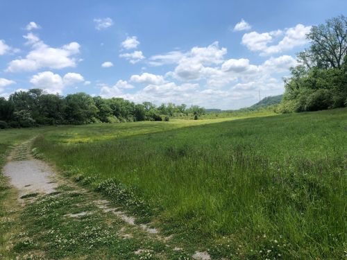 A scenic view of a grassy field under a blue sky with fluffy clouds, bordered by trees and distant hills.