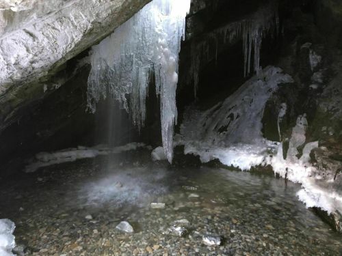 A cave interior with icicles hanging from the ceiling and a small pool of water on the rocky ground.
