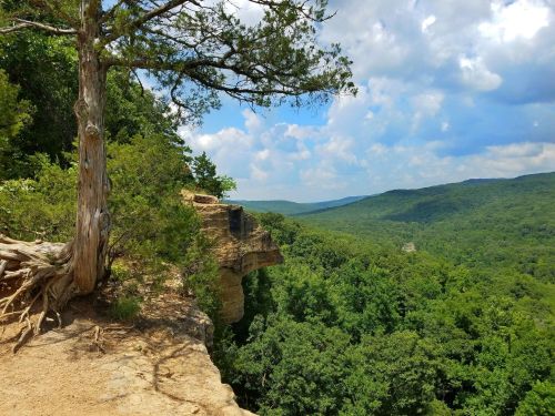 A scenic view from a rocky cliff, surrounded by lush green trees and rolling hills under a partly cloudy sky.