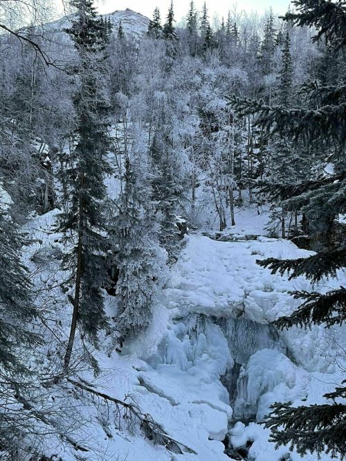 A winter landscape featuring icy waterfalls surrounded by snow-covered trees and a frosty forest backdrop.