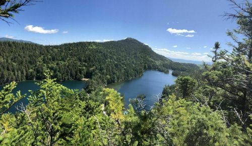 A scenic view of a lush green landscape with a lake surrounded by trees under a clear blue sky.
