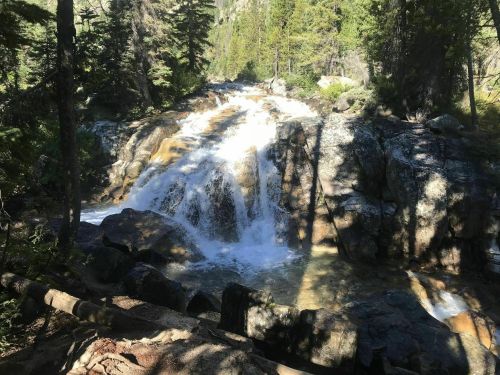 A cascading waterfall flows over rocky terrain, surrounded by lush green trees in a serene forest setting.