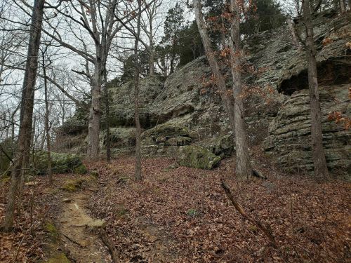 A rocky hillside with bare trees and fallen leaves, creating a serene, natural landscape in a wooded area.
