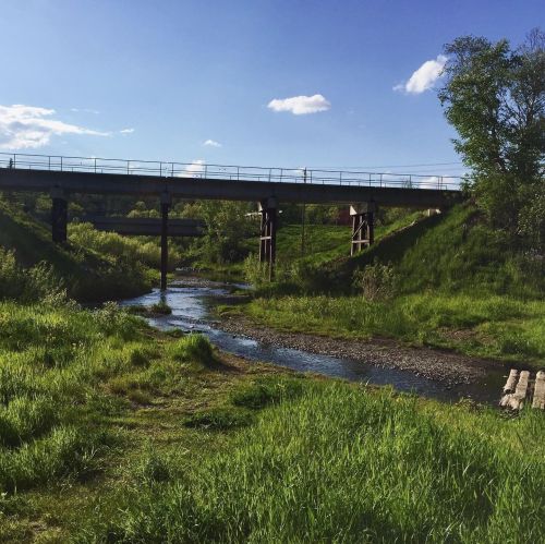 A serene landscape featuring a river flowing under a bridge, surrounded by lush green grass and trees under a blue sky.