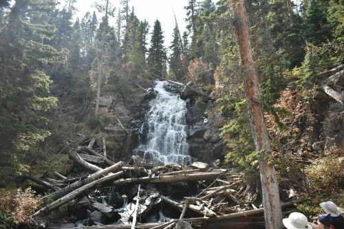 A waterfall cascades down rocky terrain, surrounded by trees and fallen logs in a forested area.
