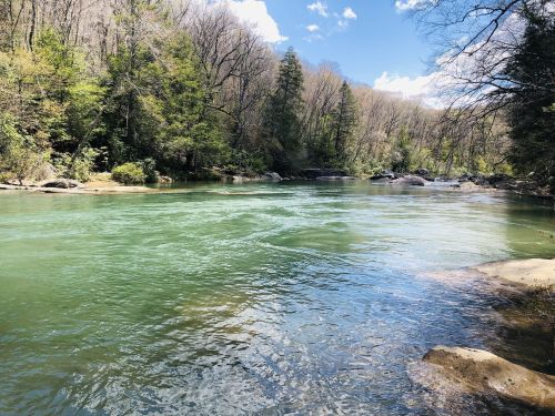 A serene river flows through a lush green landscape, surrounded by trees under a clear blue sky.
