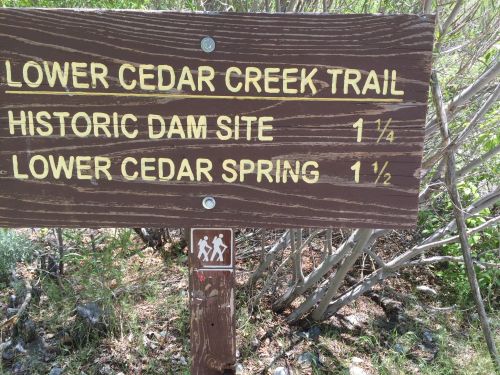 Wooden trail sign indicating directions to Lower Cedar Creek Trail and Historic Dam Site, with hiking symbols.