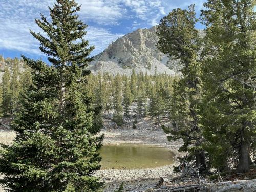 A serene landscape featuring a small pond surrounded by tall trees and a rocky mountain in the background under a blue sky.
