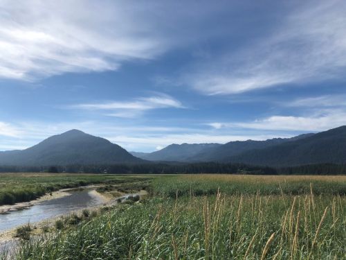 A serene landscape featuring mountains, a river, and lush green grass under a blue sky with scattered clouds.