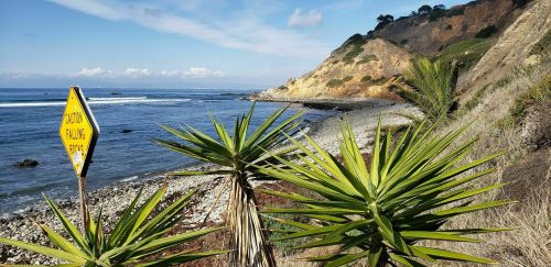 Coastal view with a warning sign, rocky shore, and lush green plants against a backdrop of cliffs and blue sky.