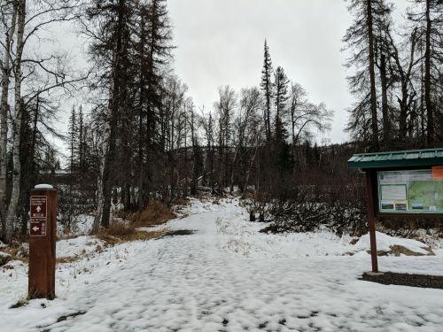 A snowy trail entrance surrounded by trees, with a signpost and information board on the left.