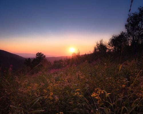 A vibrant sunset over a mountain landscape, with colorful wildflowers in the foreground and a clear sky.