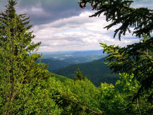 Lush green mountains under a cloudy sky, with trees framing a scenic view of rolling hills in the distance.