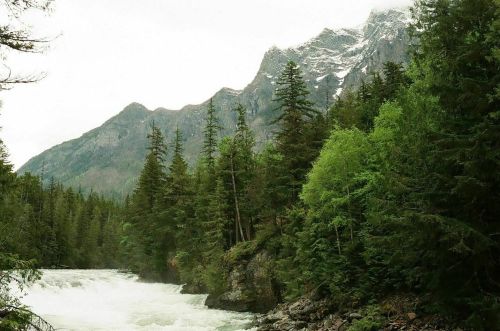 A rushing river flows through a lush green forest, with towering mountains in the background under a cloudy sky.