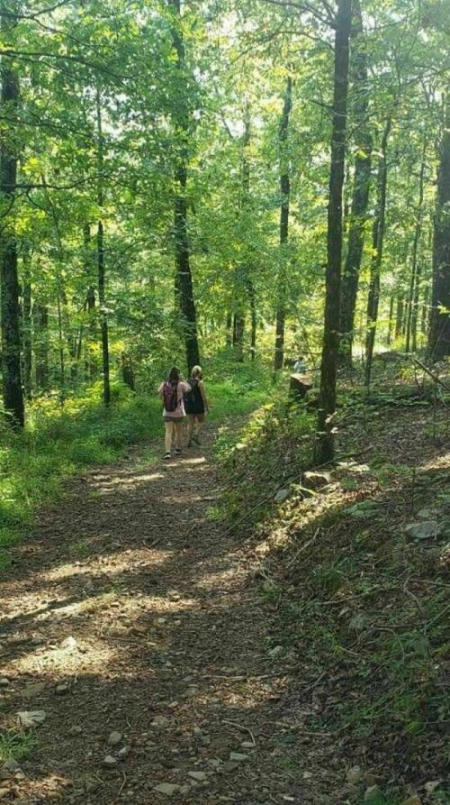 Two people walking along a wooded trail surrounded by lush green trees and sunlight filtering through the leaves.