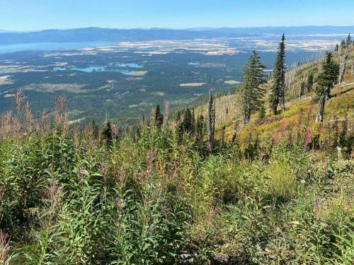 A scenic view of a mountainous landscape with lush greenery and distant lakes under a clear blue sky.