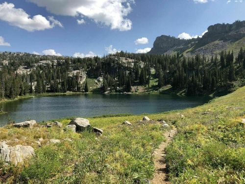 A serene mountain lake surrounded by lush greenery and rocky terrain under a blue sky with fluffy clouds.